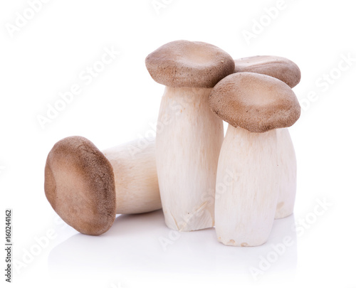 King oyster mushroom Pleurotus eryngii on white background