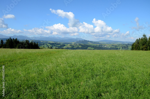 Obraz na płótnie Meadow in the Tatra Mountains (Poland) w salonie