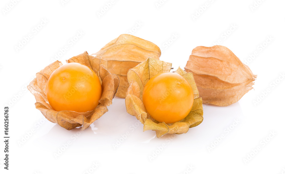 cape gooseberry on white background. physalis cape gooseberry on white background. physalis