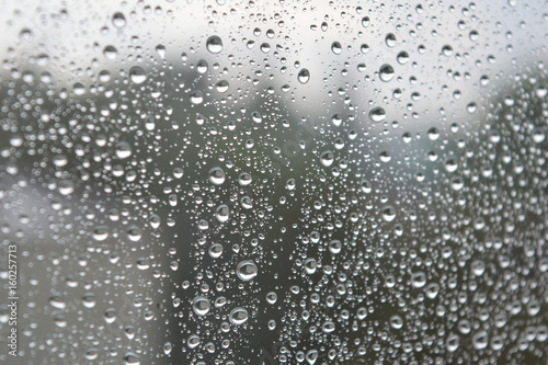 Drops of rain on the window