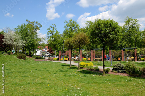 Obraz na płótnie Municipal park (Gliwice in Poland) w salonie