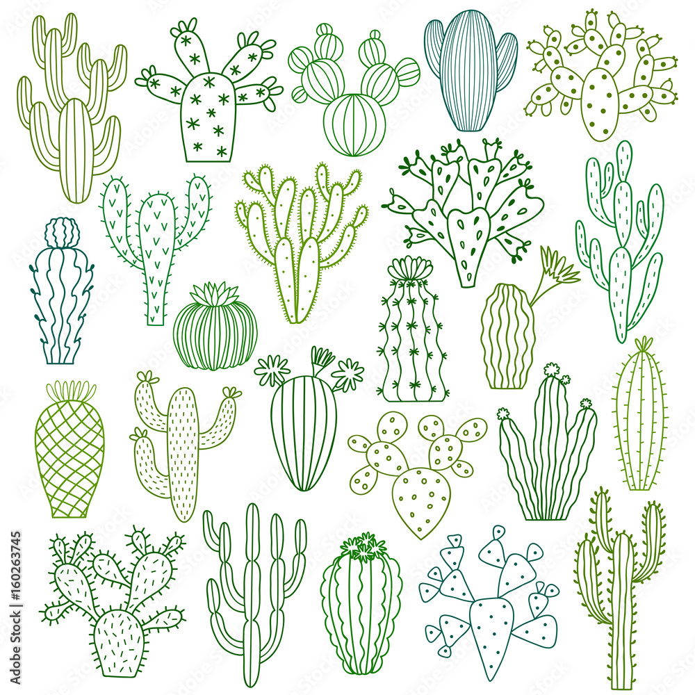 Obraz Kaktus ilustracje wektorowe. Zestaw wyciągnąć rękę kaktusów