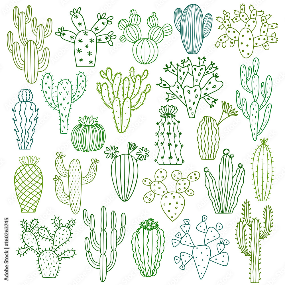 Hand Drawn Cactus Design Vector Download