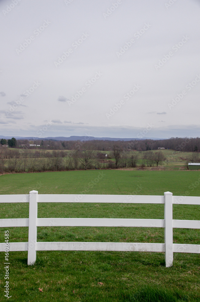 Fototapeta premium White Picket Farm Fence