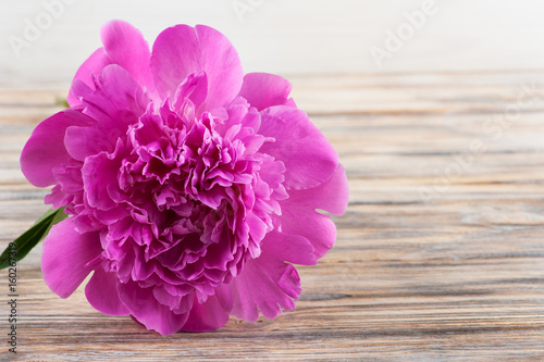 Pink peonies on old wooden board