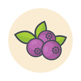 cartoon blueberry icon vector