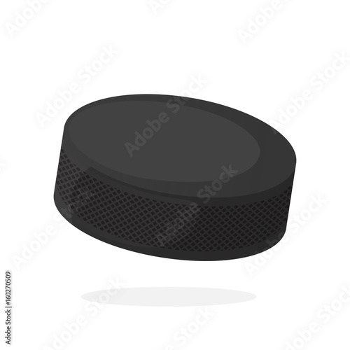 Hockey puck