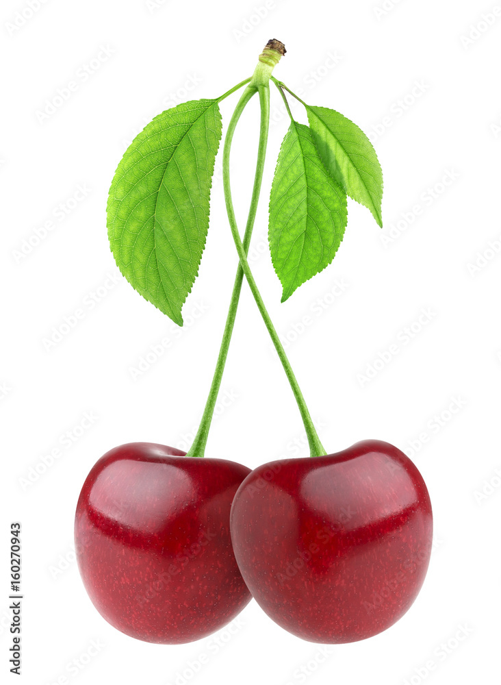 Cherry isolated. Two cherries with leaves isolated on white background Cherry isolated. Two cherries with leaves isolated on white background
