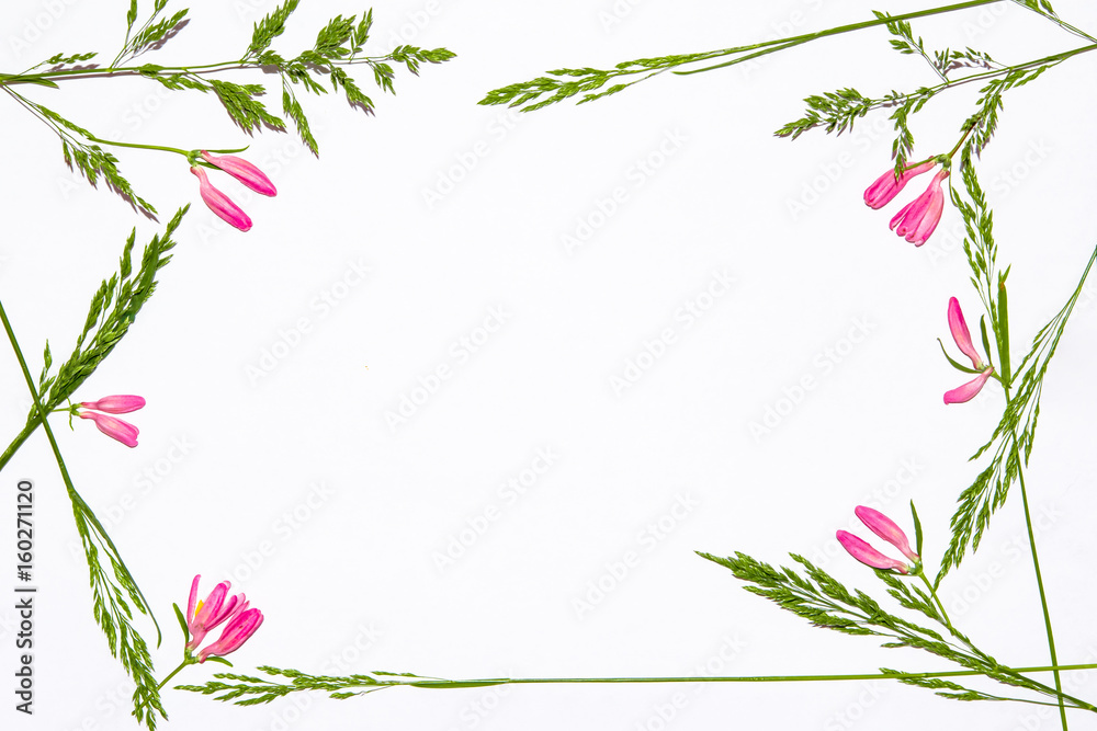 The floral pattern. The pattern of flowers. Flowers frame template pink texture flower buds and leaves on white background, top view