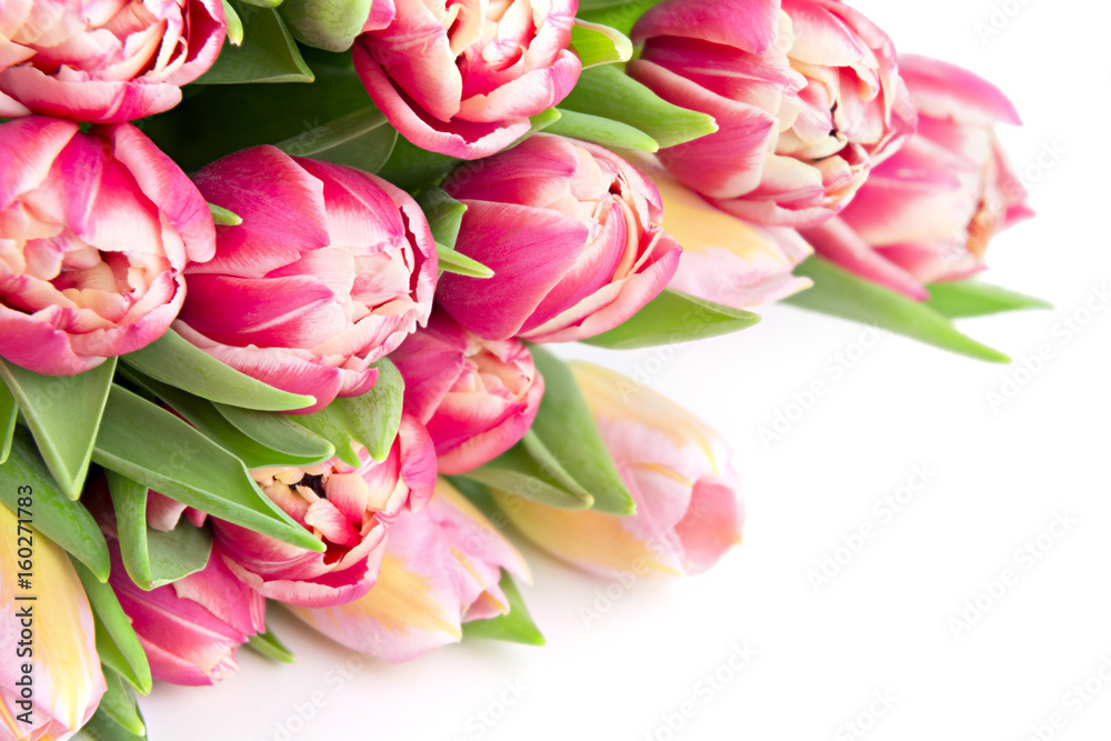 Floral tulips gift card