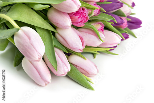 Fototapeta Naklejka Na Ścianę i Meble -  Pink tulips greeting card
