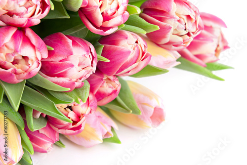 Fototapeta Naklejka Na Ścianę i Meble -  Floral tulips gift card