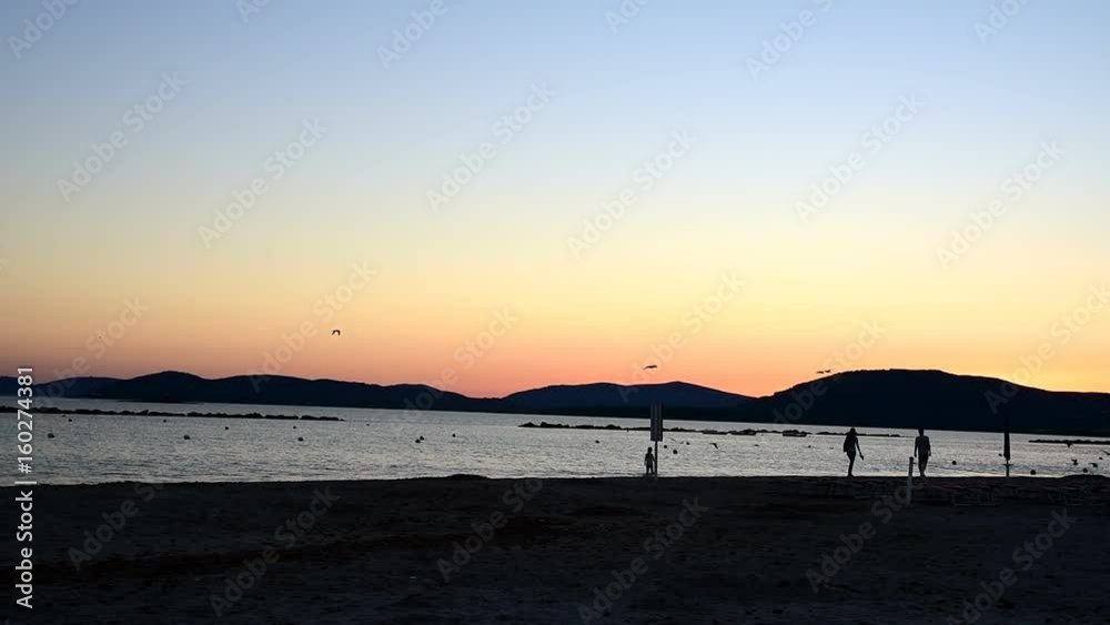Seagulls flying in Alghero shore at sunset. Sardinia, Italy Seagulls flying in Alghero shore at sunset. Sardinia, Italy