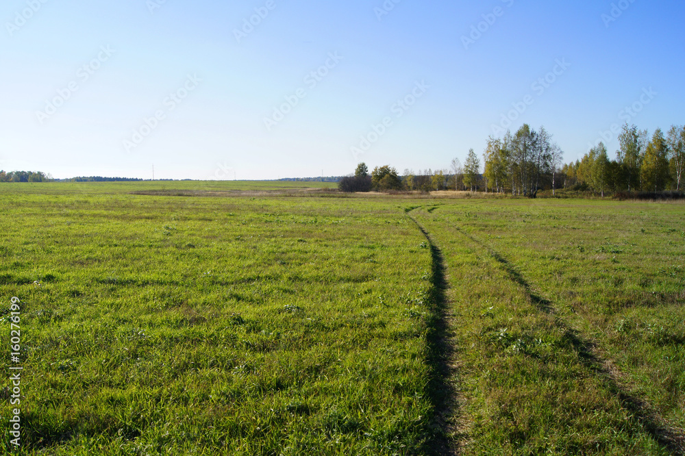 Green grassy field with wheels trenches under the bright sunshine. Moscow region, Russia