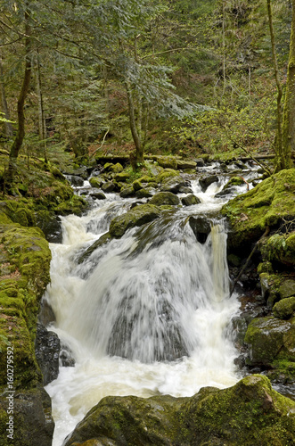 Ravennawasserfall, Schwarzwald