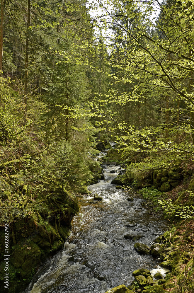 Ravennaschlucht im Schwarzwald