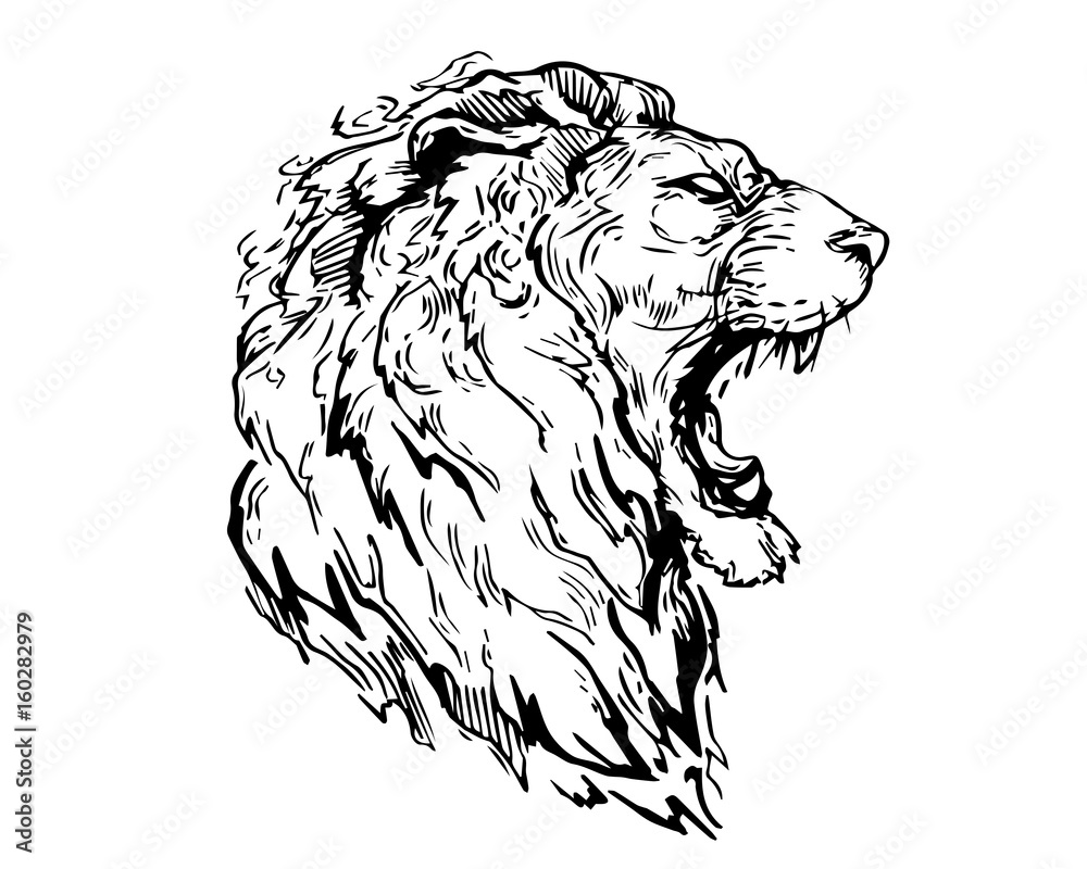 Detail Realistic Hand Drawing Angry Lion Head Illustration Stock ...
