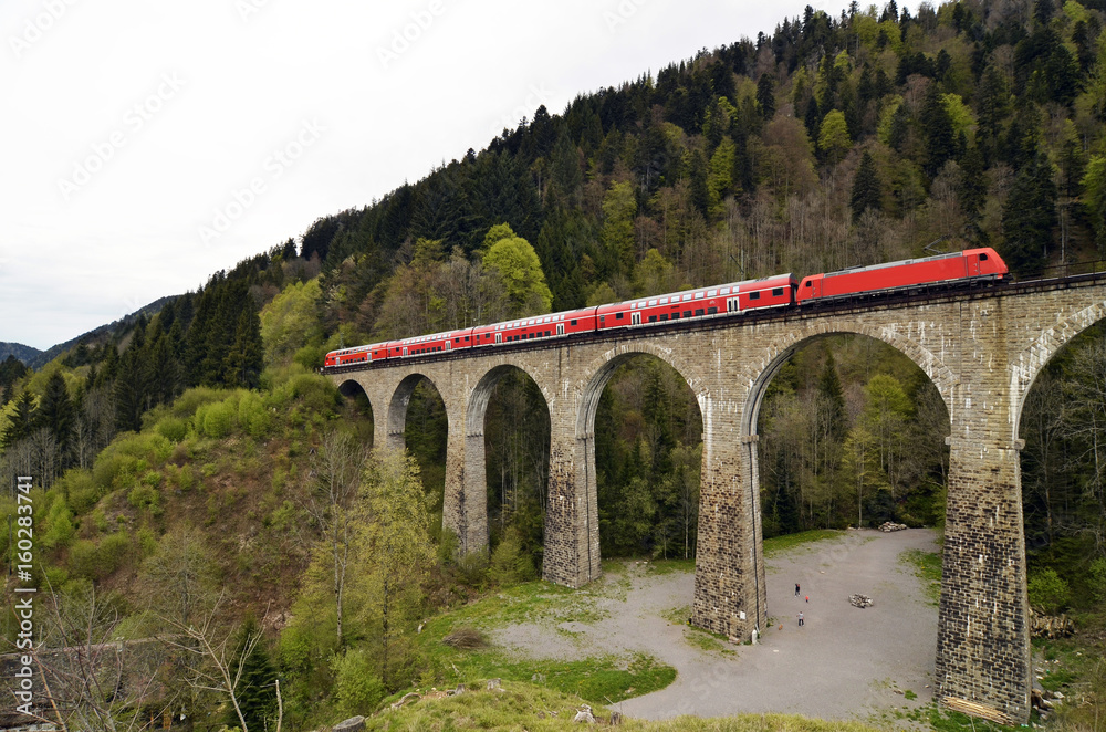 Fototapeta premium Ravennabrücke im Schwarzwald