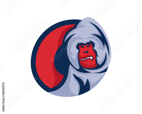 Modern Orangutan O Letter Alphabet Sports Logo
