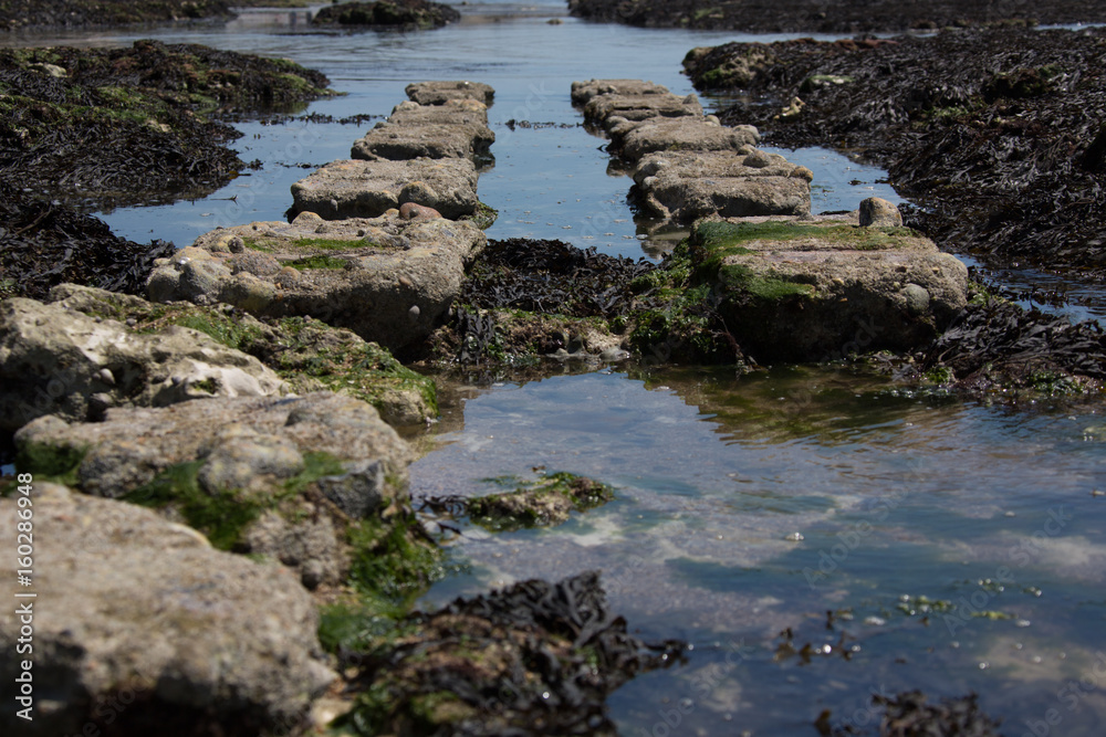 Rottingdean, East Sussex, England: tracks of the Victorian Daddy Longlegs Rottingdean, East Sussex, England: tracks of the Victorian Daddy Longlegs