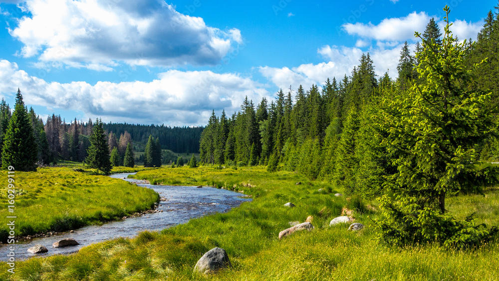 Fototapeta premium Rzeka w parku narodowym, Waldbach