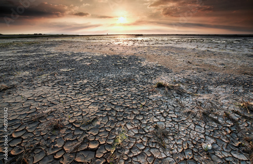 cracked mud on Wadden sea at low tide
