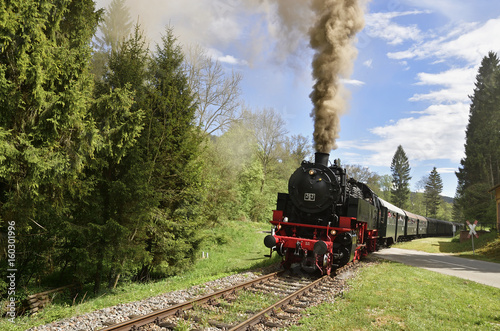 Sauschwänzlebahn bei Lausheim-Blumegg, Schwarzwald