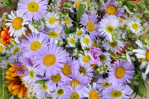 Summer flowers from the garden