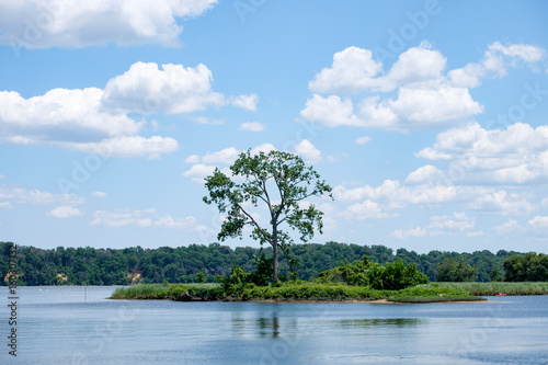 Lone tree on an island in the middle of the water photo
