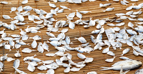  lots of fish salted and dry preparation for the market photo