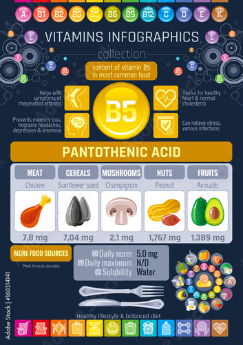 Pantothenic acid Vitamin B5 rich food icons. Healthy eating flat icon set, text letter logo, isolated background. Diet Infographic diagram placard. Table vector illustration, human health benefits