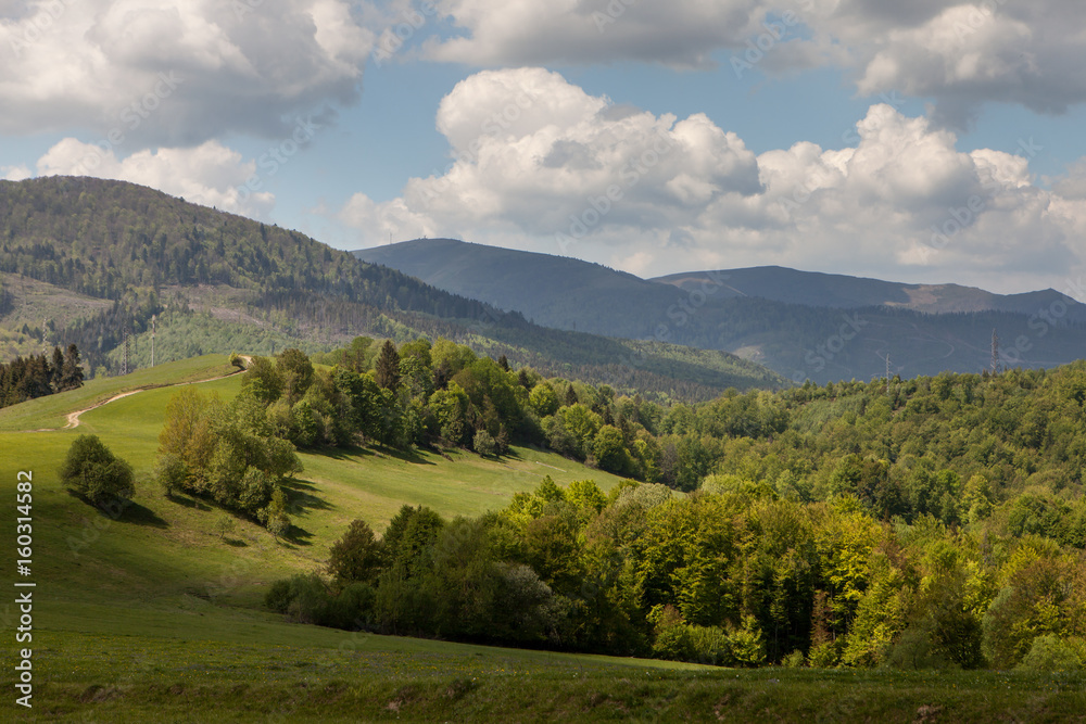 Naklejka premium Mountain landscape, beauty of nature