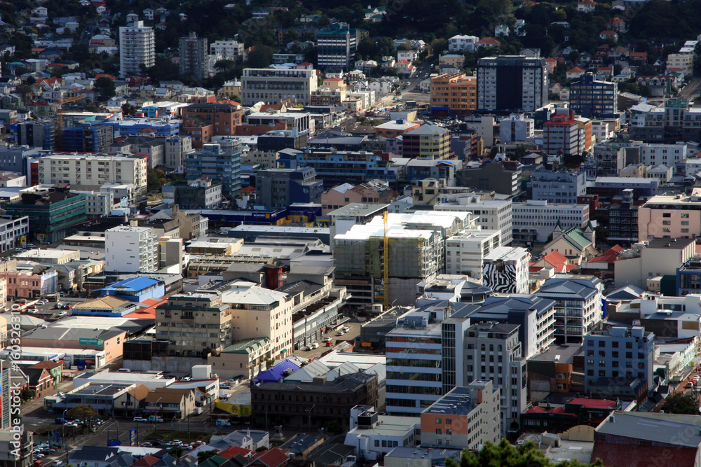 Fototapeta premium Mt Victoria, Wellington, New Zealand