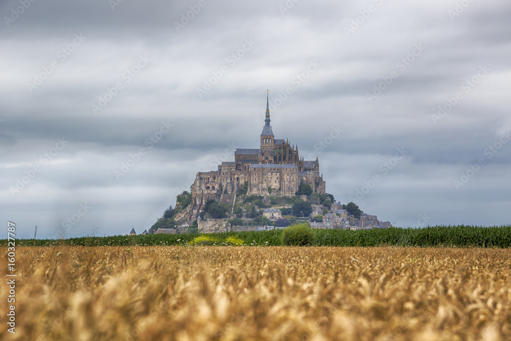 wheat field in Mont Saint Michel - Normandy