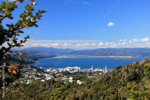 Wrights Hill, Wellington, New Zealand