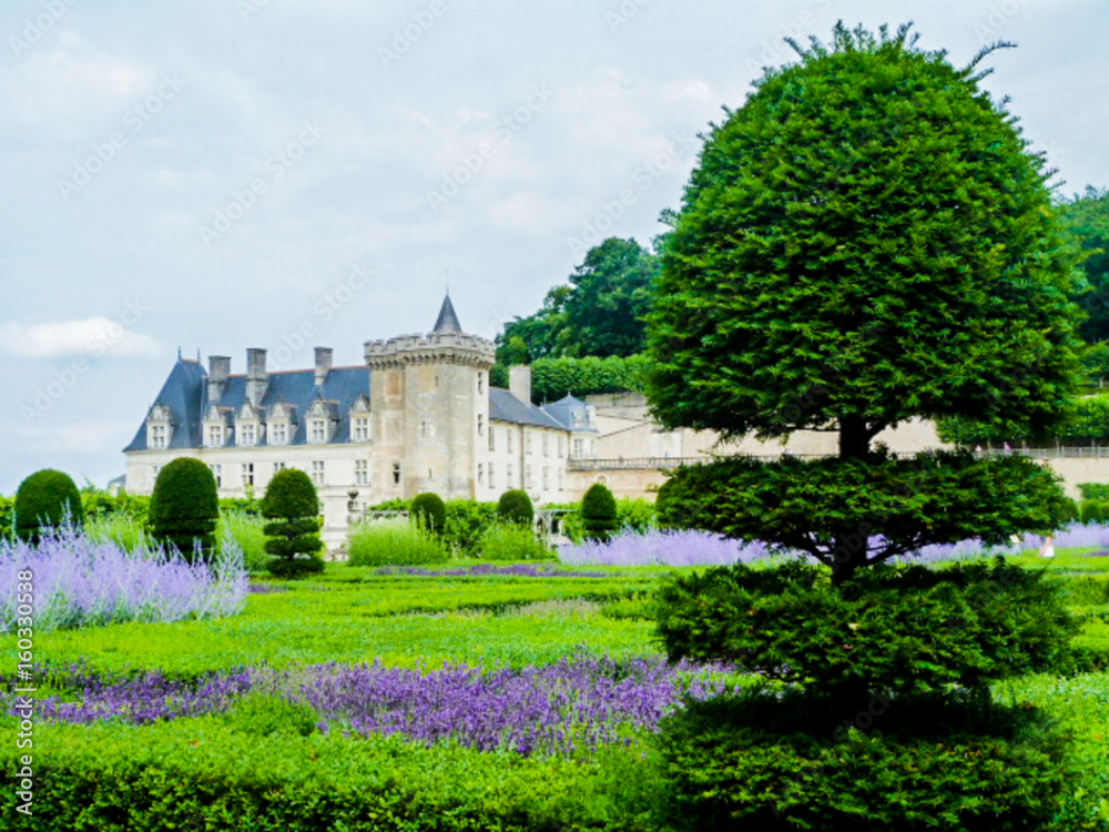Château Loire
