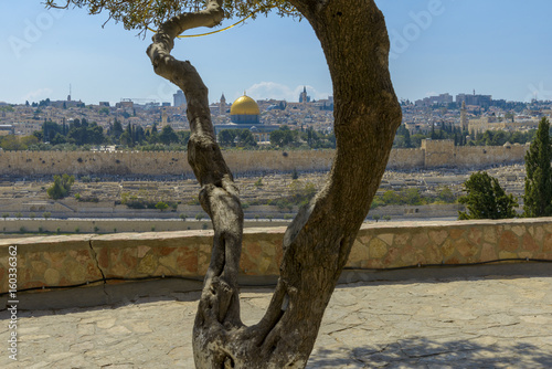 Panoramic view to Jerusalem Old city