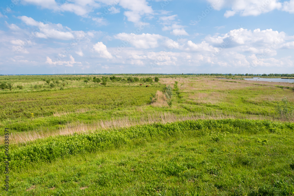 Landscape of polder and wetland on Tiengemeten island, Netherlands