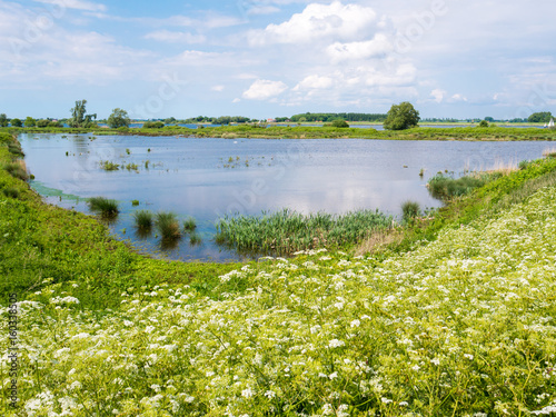Wetland landscape on Tiengemeten island in Haringvliet estuary, Netherlands