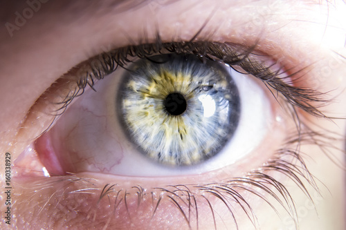 Close-up of blue human eye