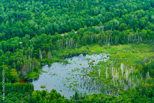 Fototapeta Naklejka Na Ścianę i Meble -  Aerial view of swamp surrounded by trees, Toronto, Ontario, Canada.