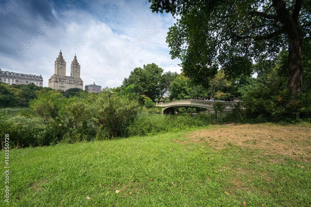 Buildings in distance and grass in foreground, Central Park, New York City, New York, USA.