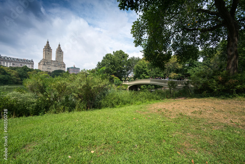 Buildings in distance and grass in foreground, Central Park, New York City, New York, USA.