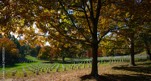 Large tree with autumn leaves and grave stones in cemetery, USA.
