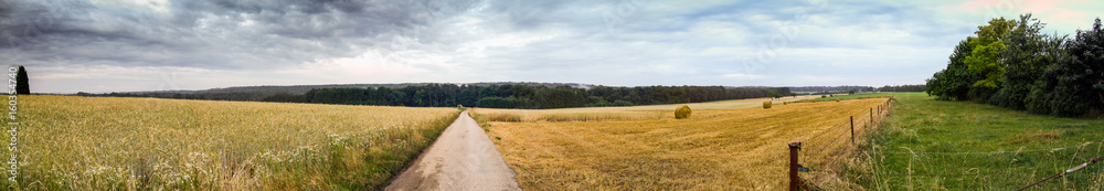 Panoramic view of rural scene of countryside at day, Ontario, Canada.