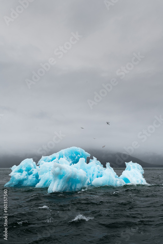 Holkham Bay Iceberg