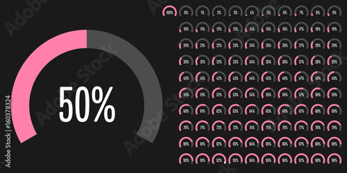 Set of circular sector percentage diagrams from 0 to 100 ready-to-use for web design, user interface (UI) or infographic - indicator with pink