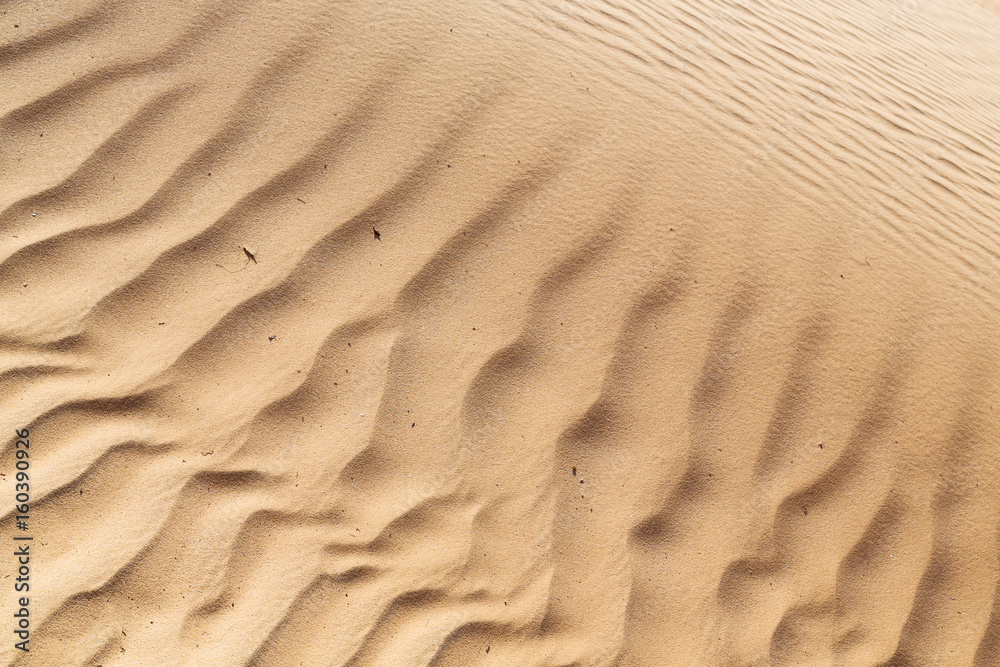 in oman desert and the texture line wave in oman desert and the texture line wave
