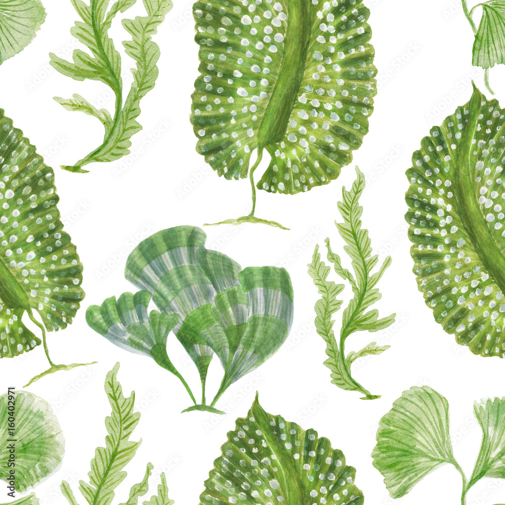 custom made wallpaper toronto digitalWatercolor painting seamless pattern with green seaweed