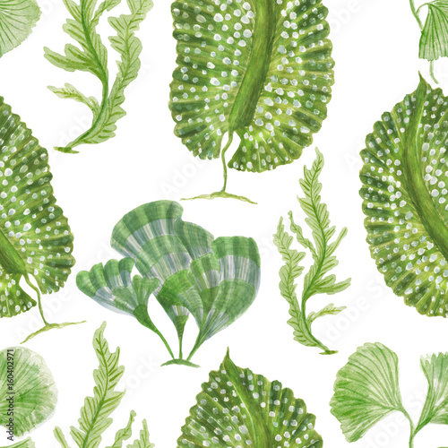 Wallpaper Mural Watercolor painting seamless pattern with green seaweed Torontodigital.ca